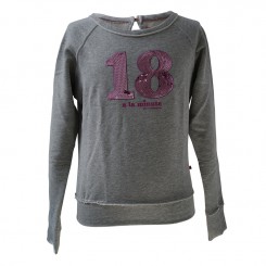 Bengh-Sweatshirt-in-grau.jpg